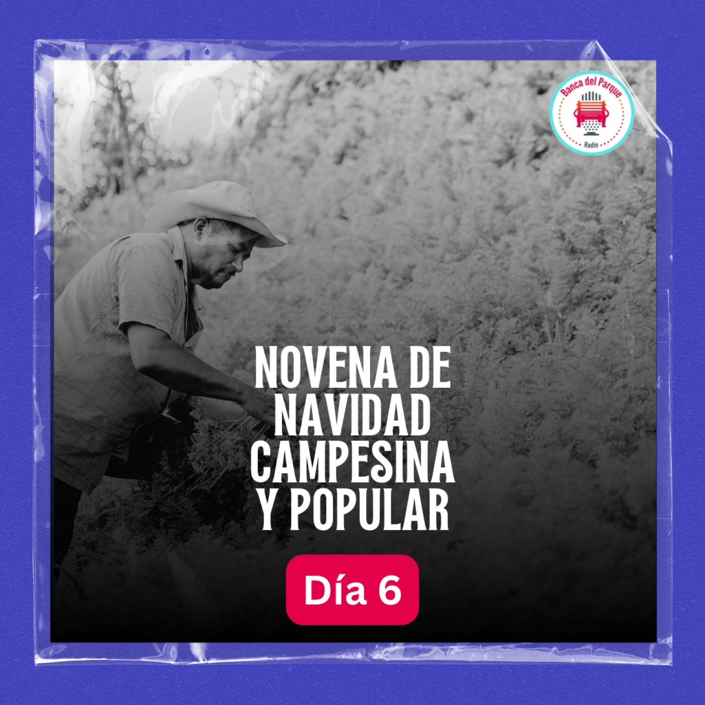 Podcast Banca del Parque Radio