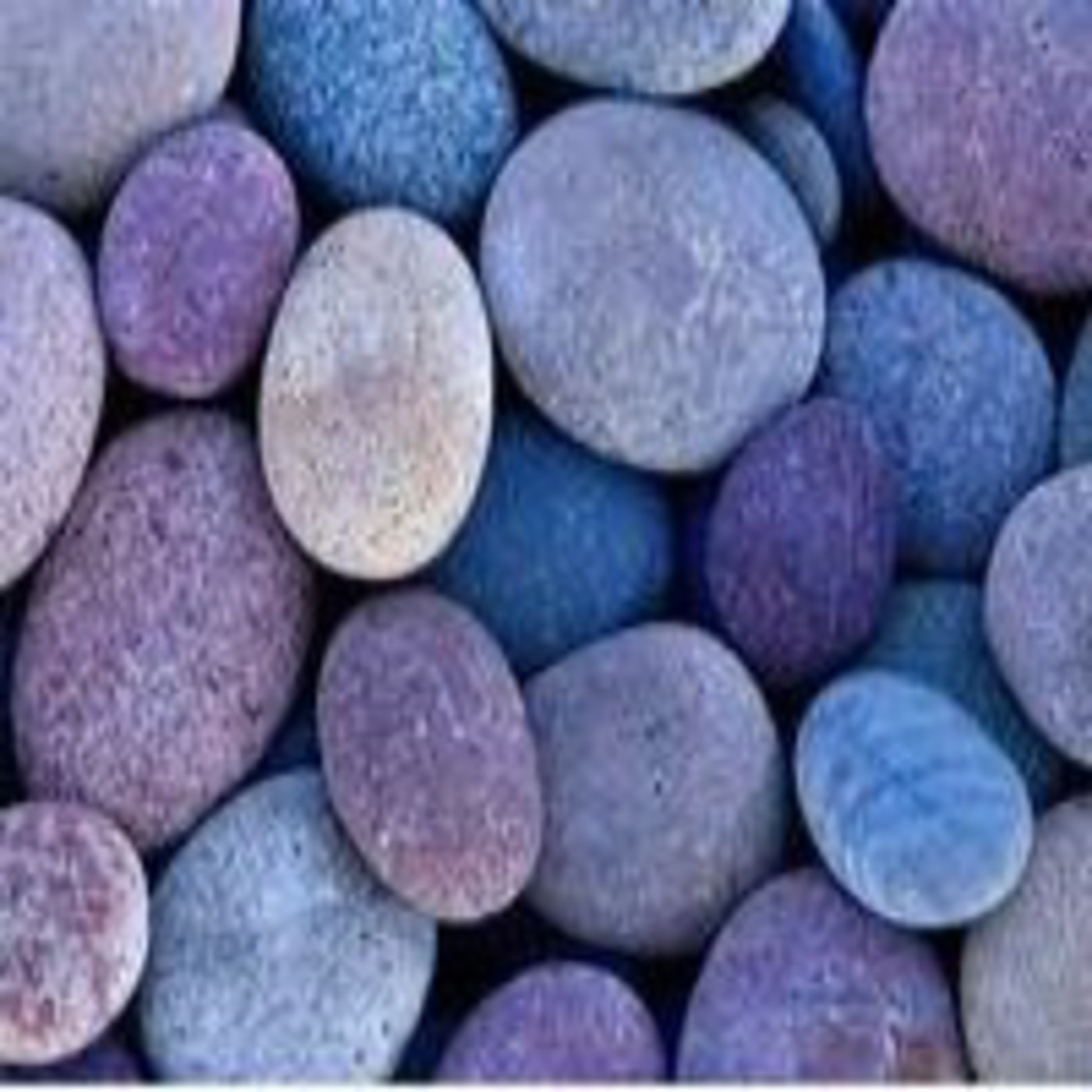 Podcast Ingresos Hoy en Día - Paloma Reino