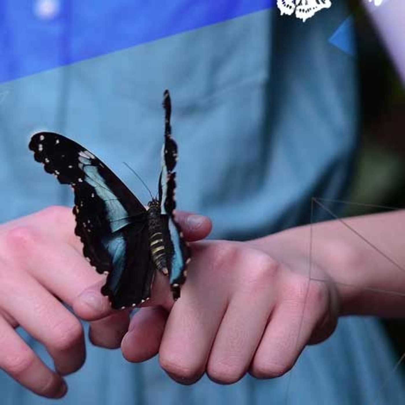Mente-conciencia.com