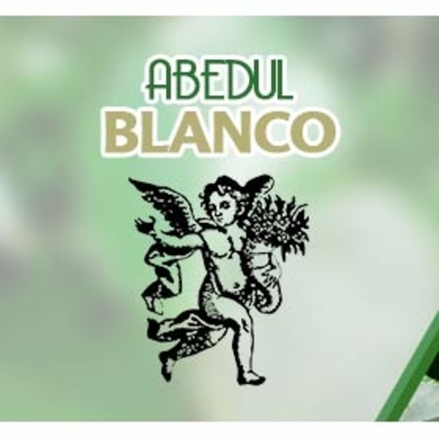 El Ángel de tu Salud - ABEDUL BLANCO episode artwork