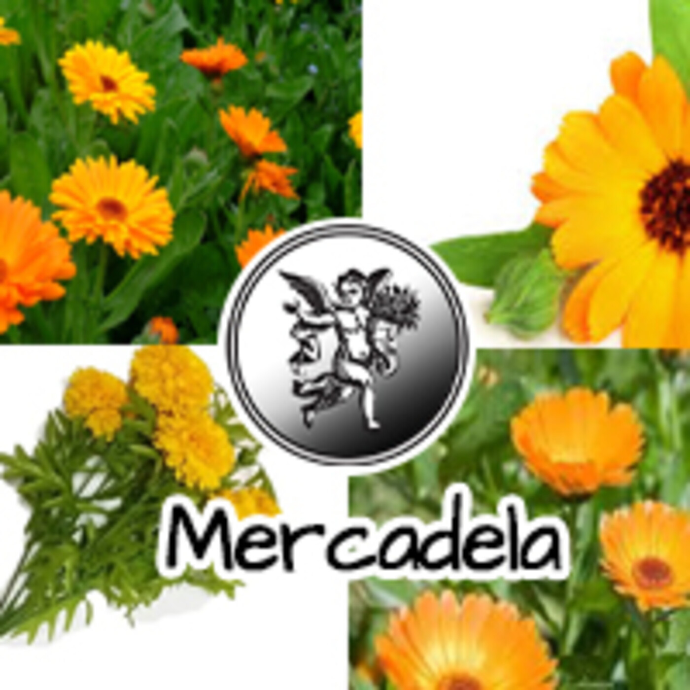 El Angel de tu Salud - MERCADELA *** episode artwork