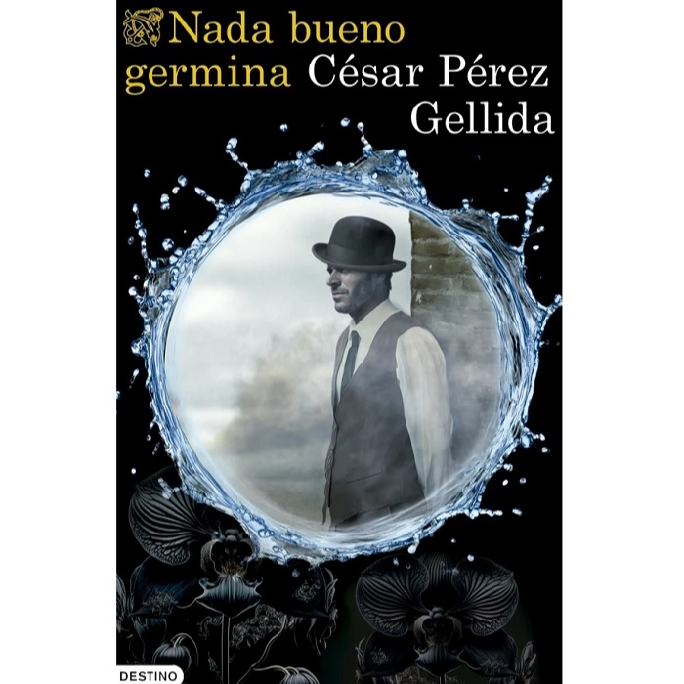 Historias de papel - Manuel Pedraz