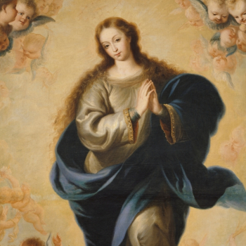 embed image