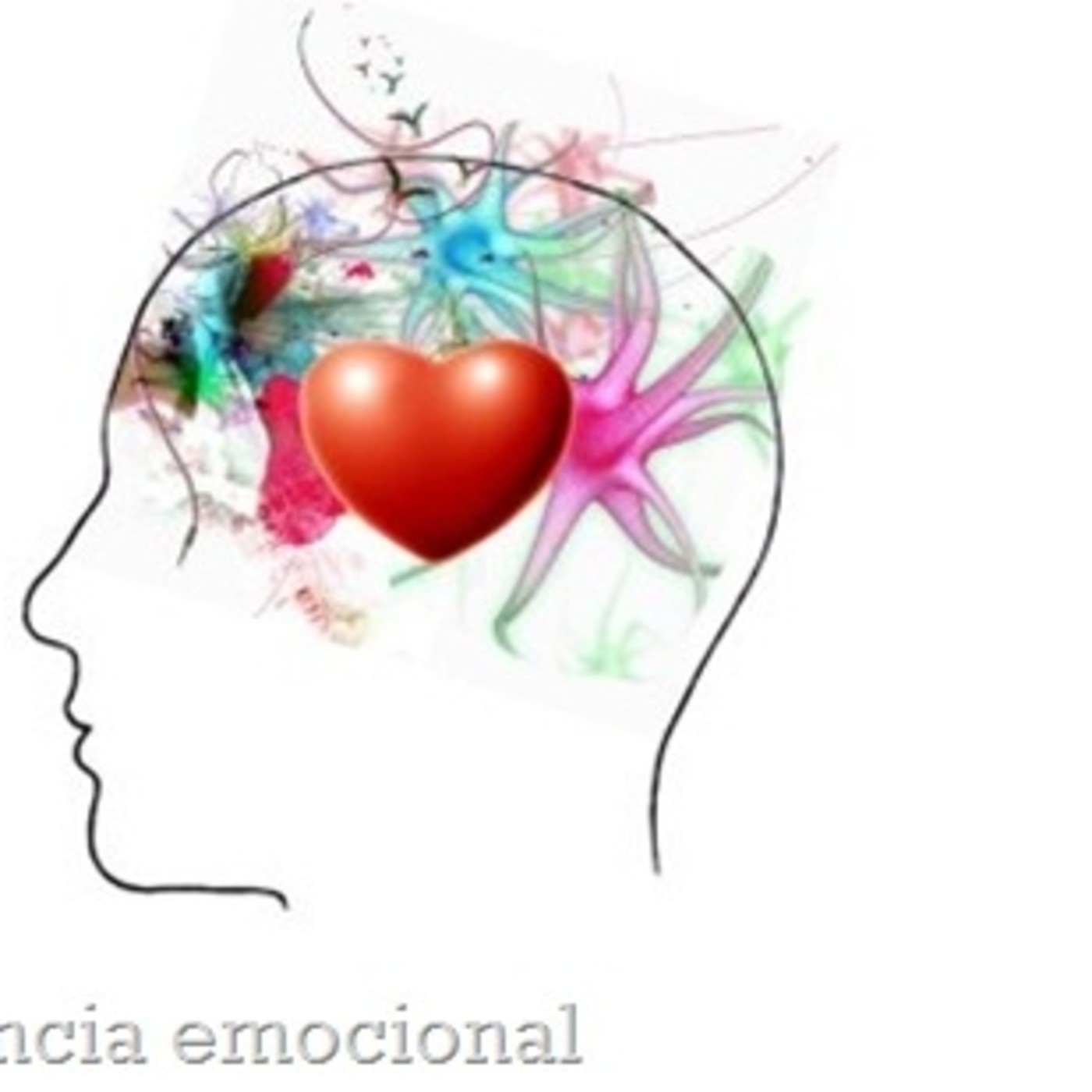 videoclases psicologia