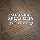 Parashat Shlaj - 2020