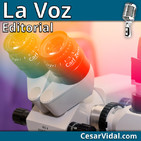 Editorial: Una epidemia silenciosa - 03/05/19