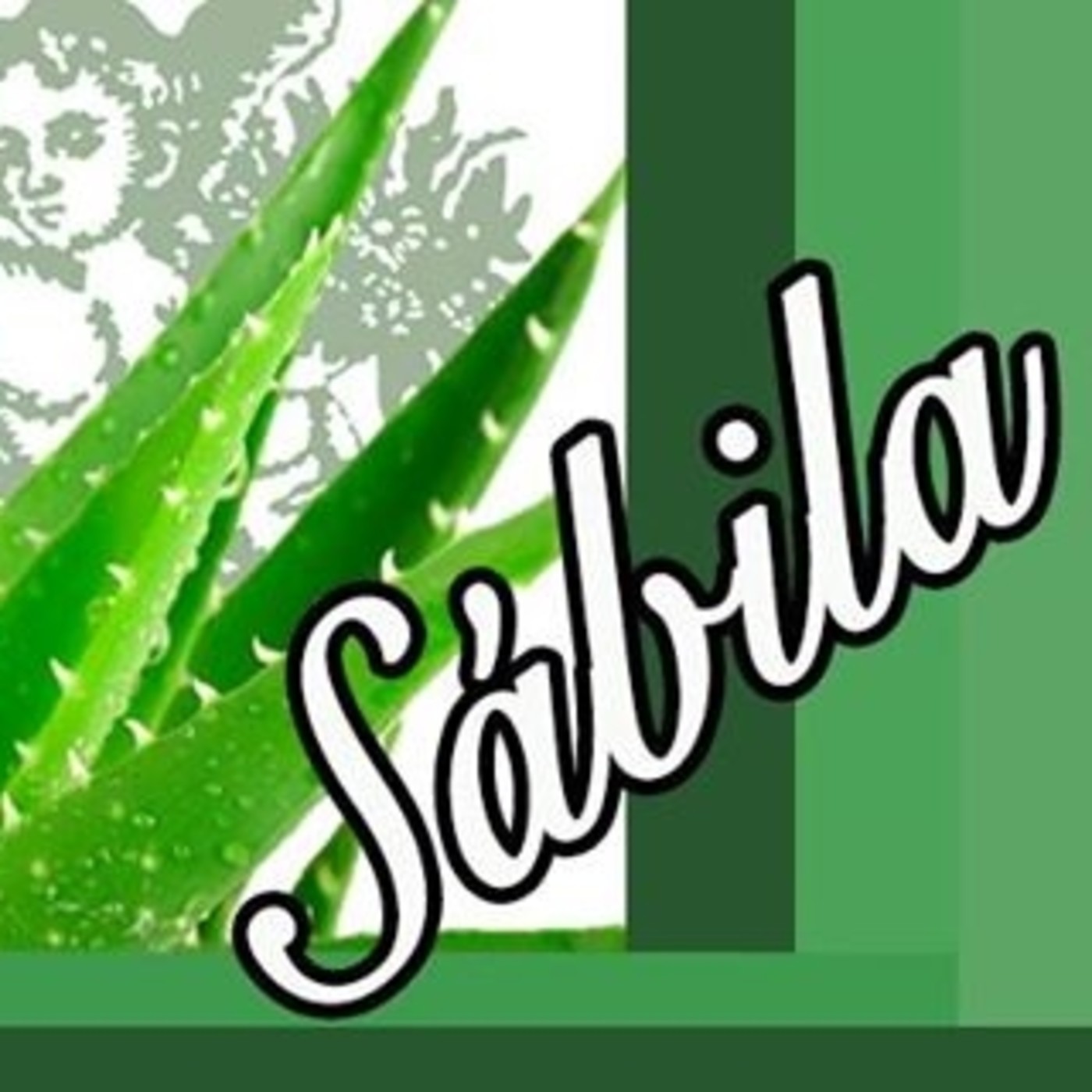 El Ángel de tu salud - SÁBILA episode artwork