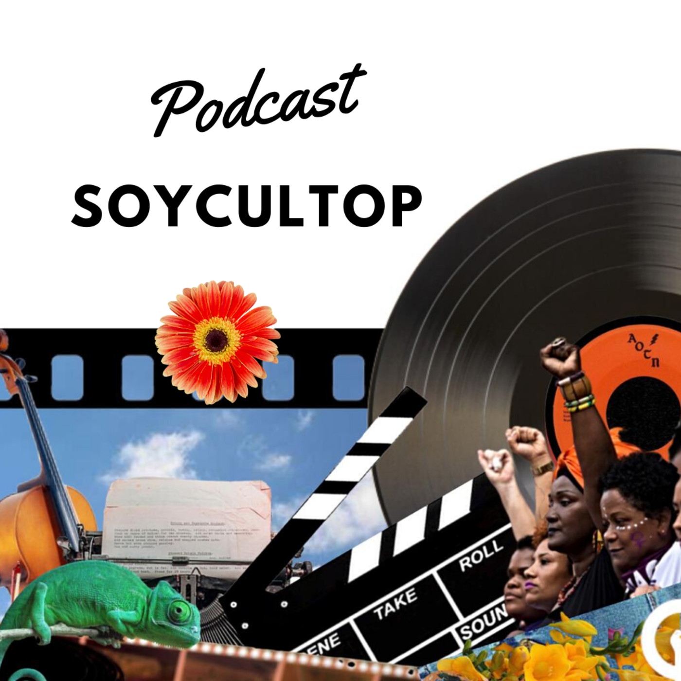 SoyCulTop