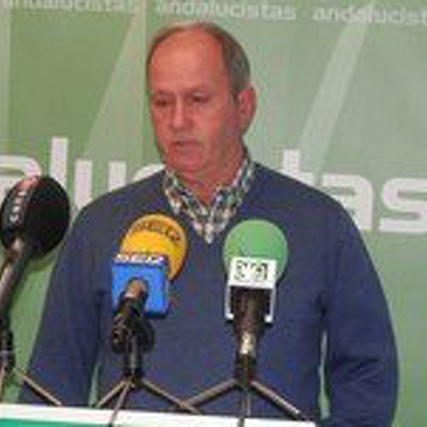 Partido Andalucista de Andújar