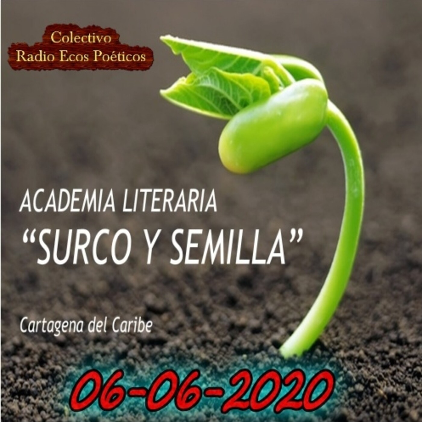 ACADEMIA LITERARIA SURCO Y SEMILLA