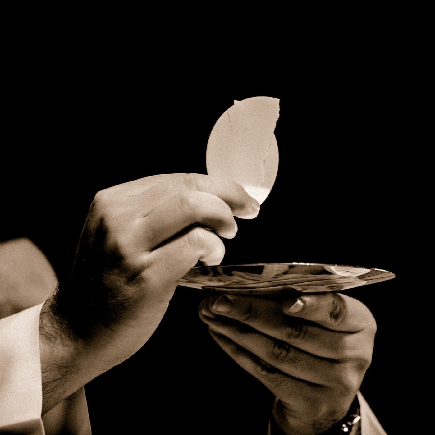 Sobre la crisis actual. Lorenzo Trujillo