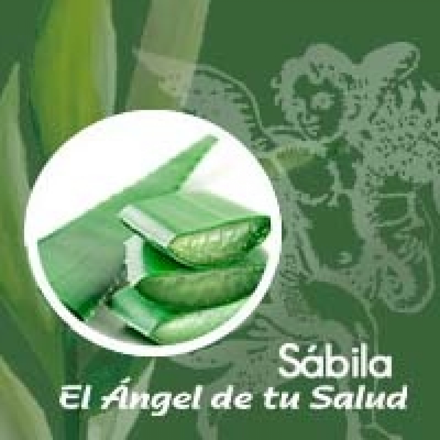 El Ángel de tu Salud - Sábila**