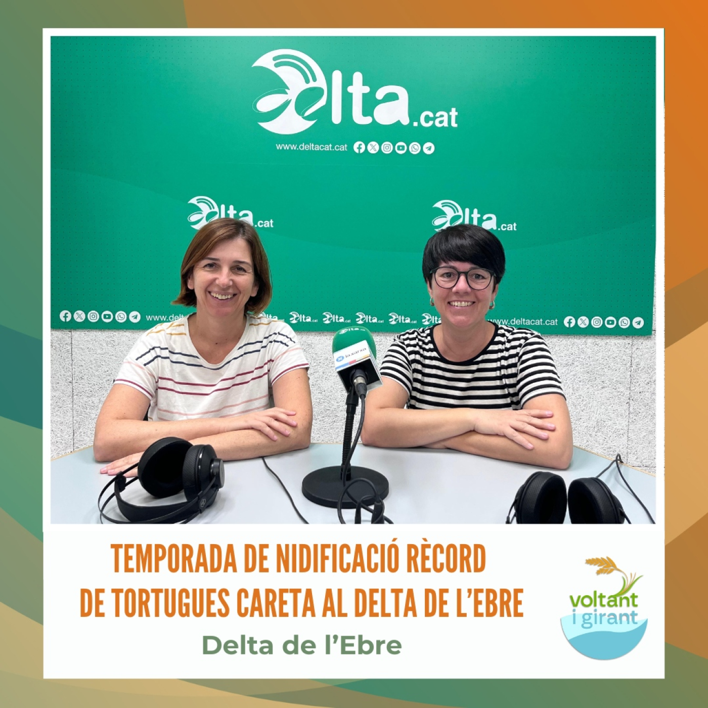 Temporada de nidificació rècord de tortugues careta al delta de l’Ebre episode artwork