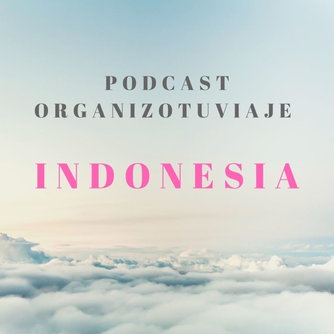 Organizotuviaje