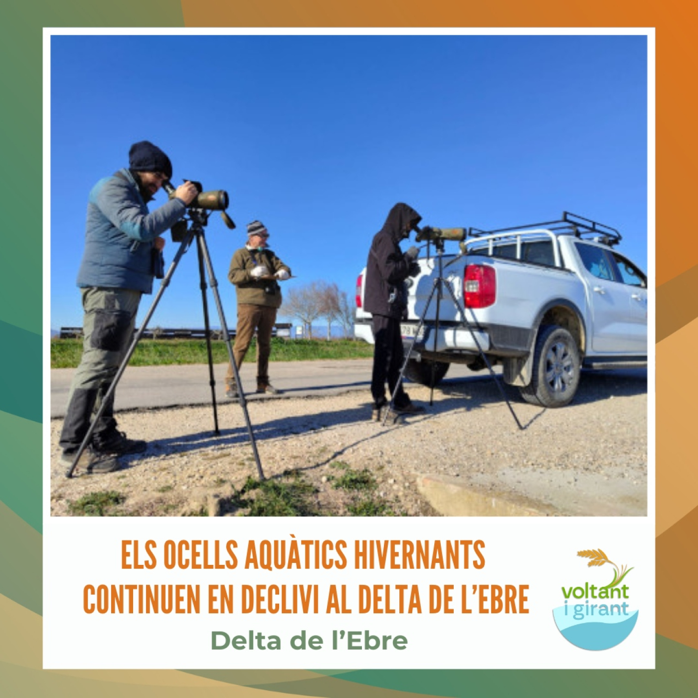 Els ocells aquàtics hivernants continuen en declivi al delta de l’Ebre episode artwork