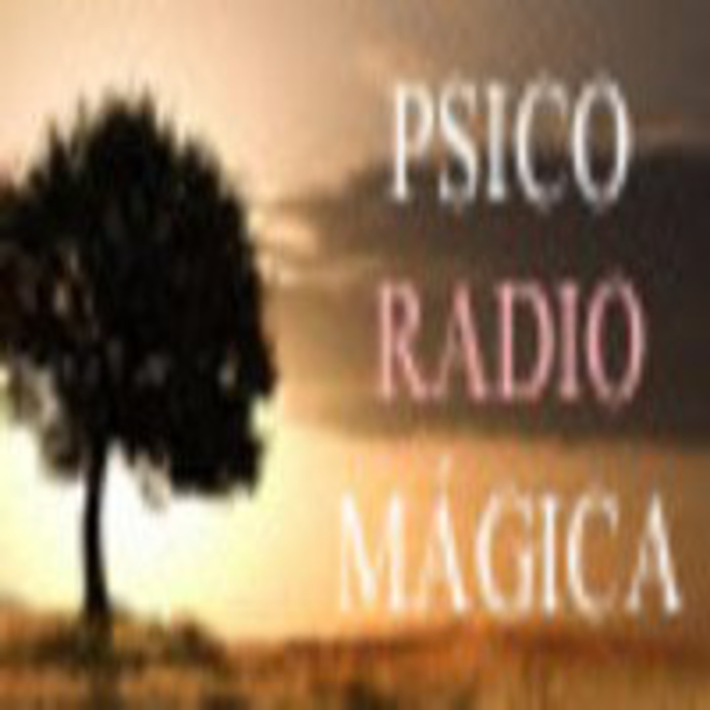 Psicoradiomágica: El Dinero 3ra parte 20 Octubre episode artwork