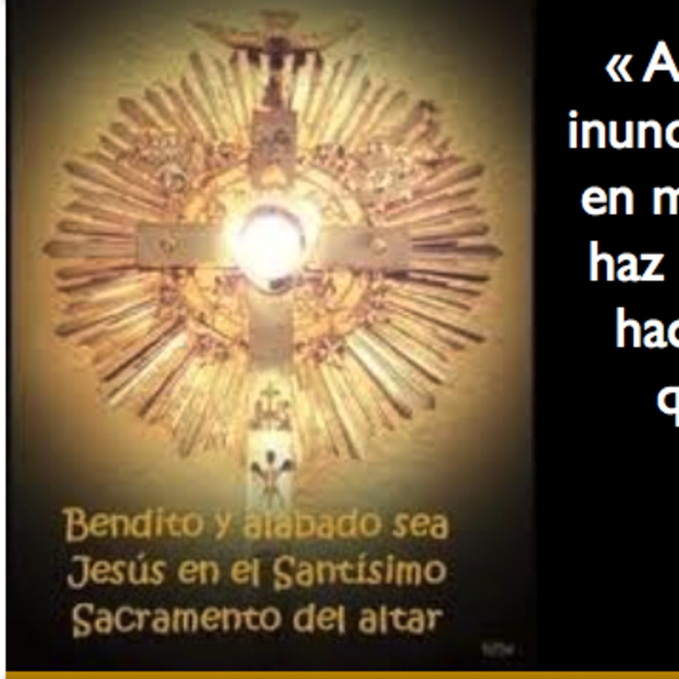 Oraciones en la Divina Voluntad