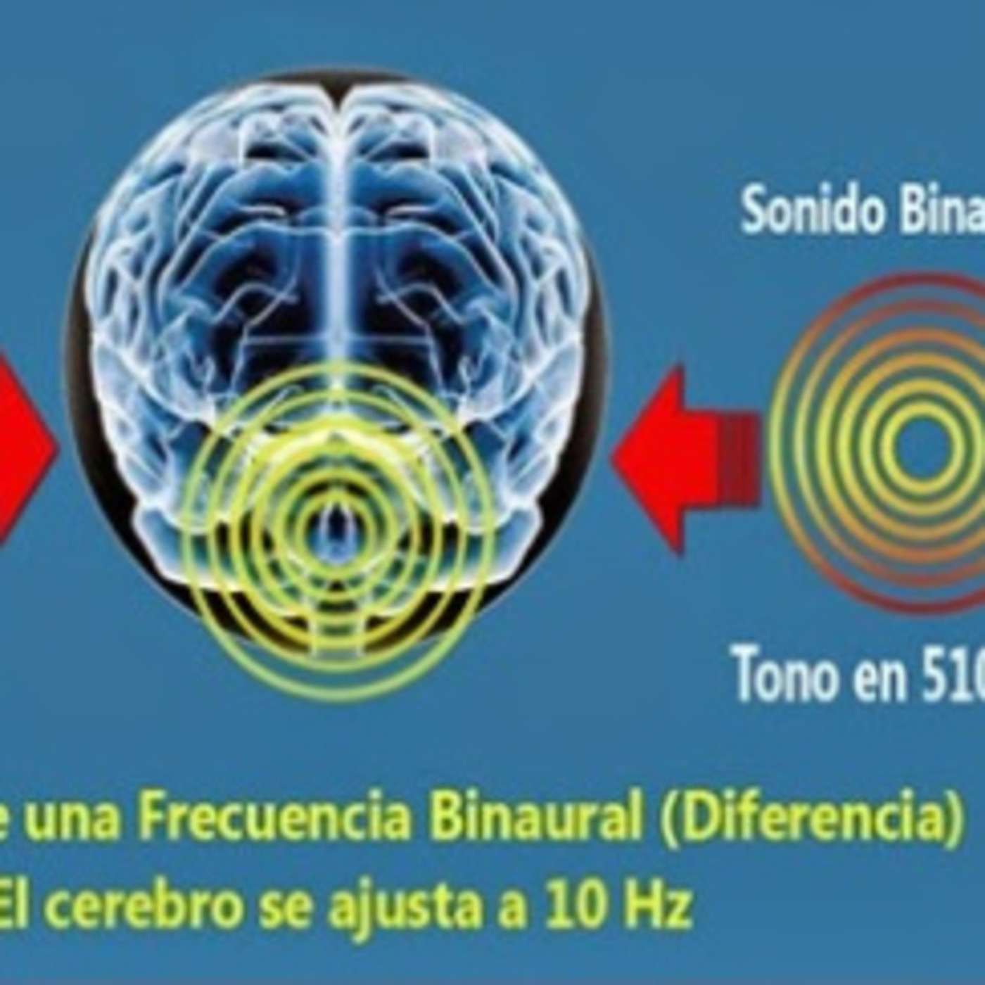 Atencion.org