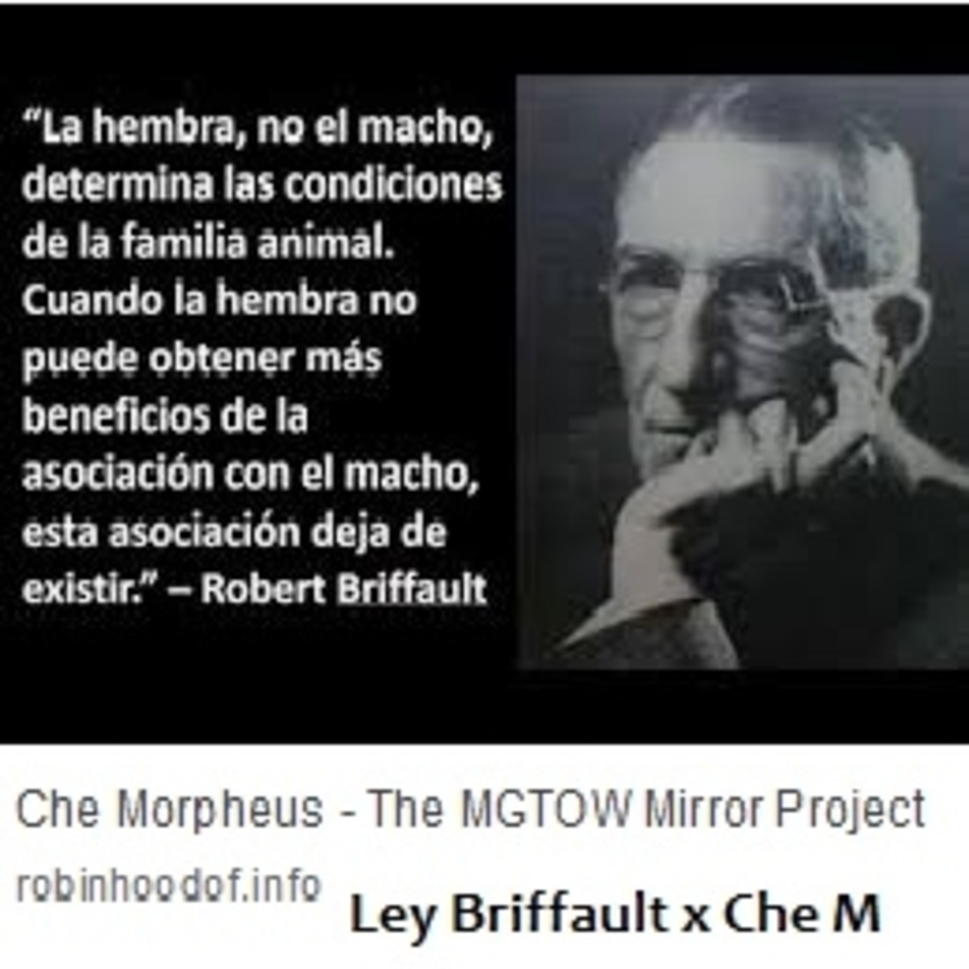 MGTOW ESPAñOL Ley Briffault Obstinator Ob Utopian
