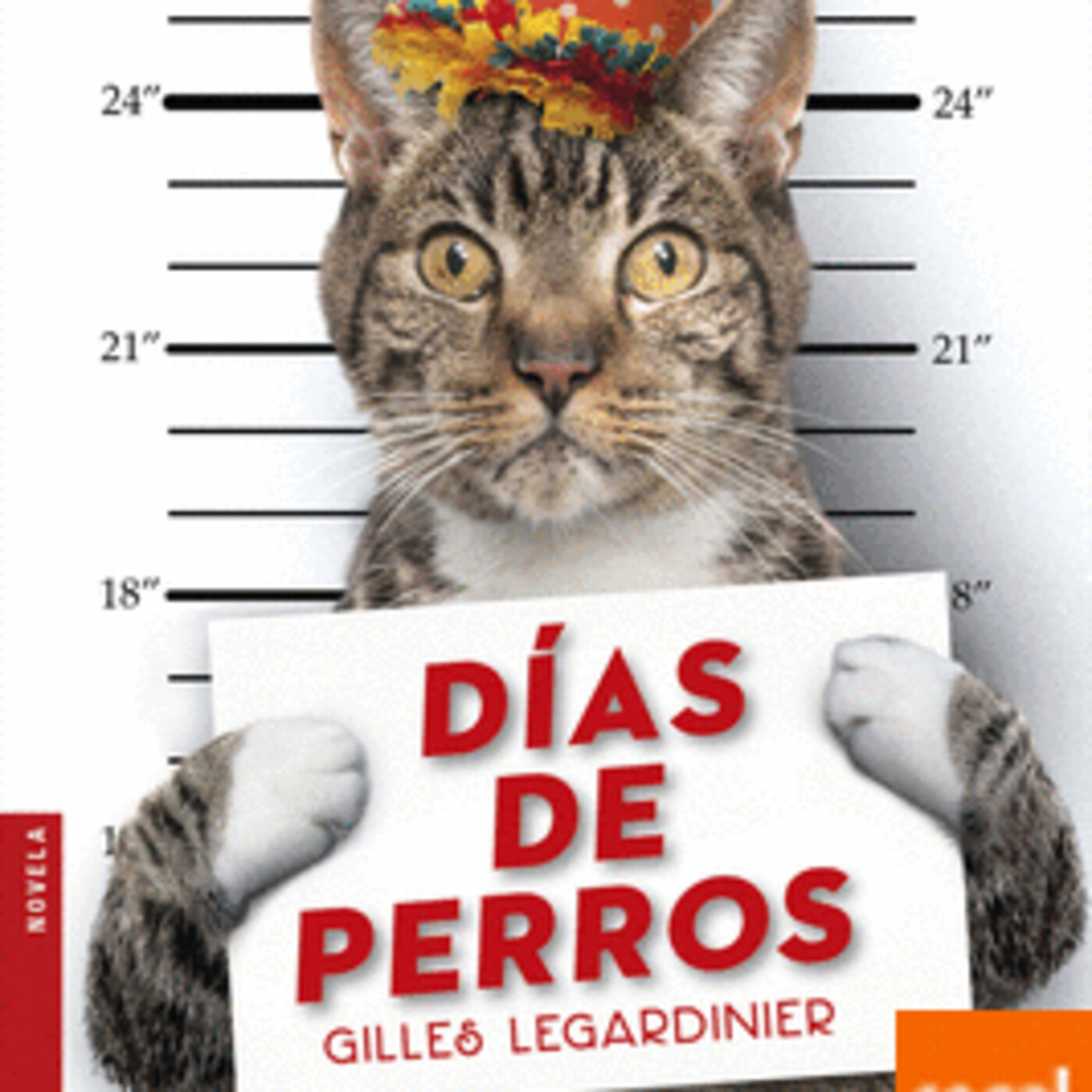 Ratones de Biblioteca