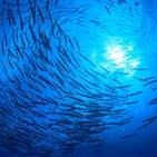 Cosmos: 9 - Los Mundos Perdidos de la Tierra #documental #podcast #universo #ciencia