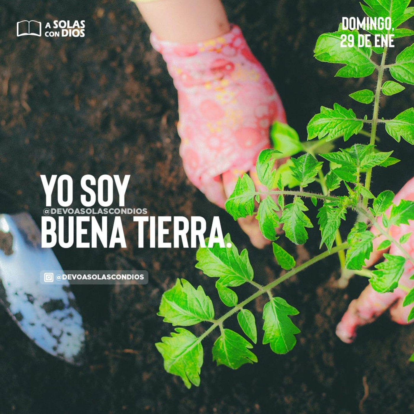 A Solas con Dios