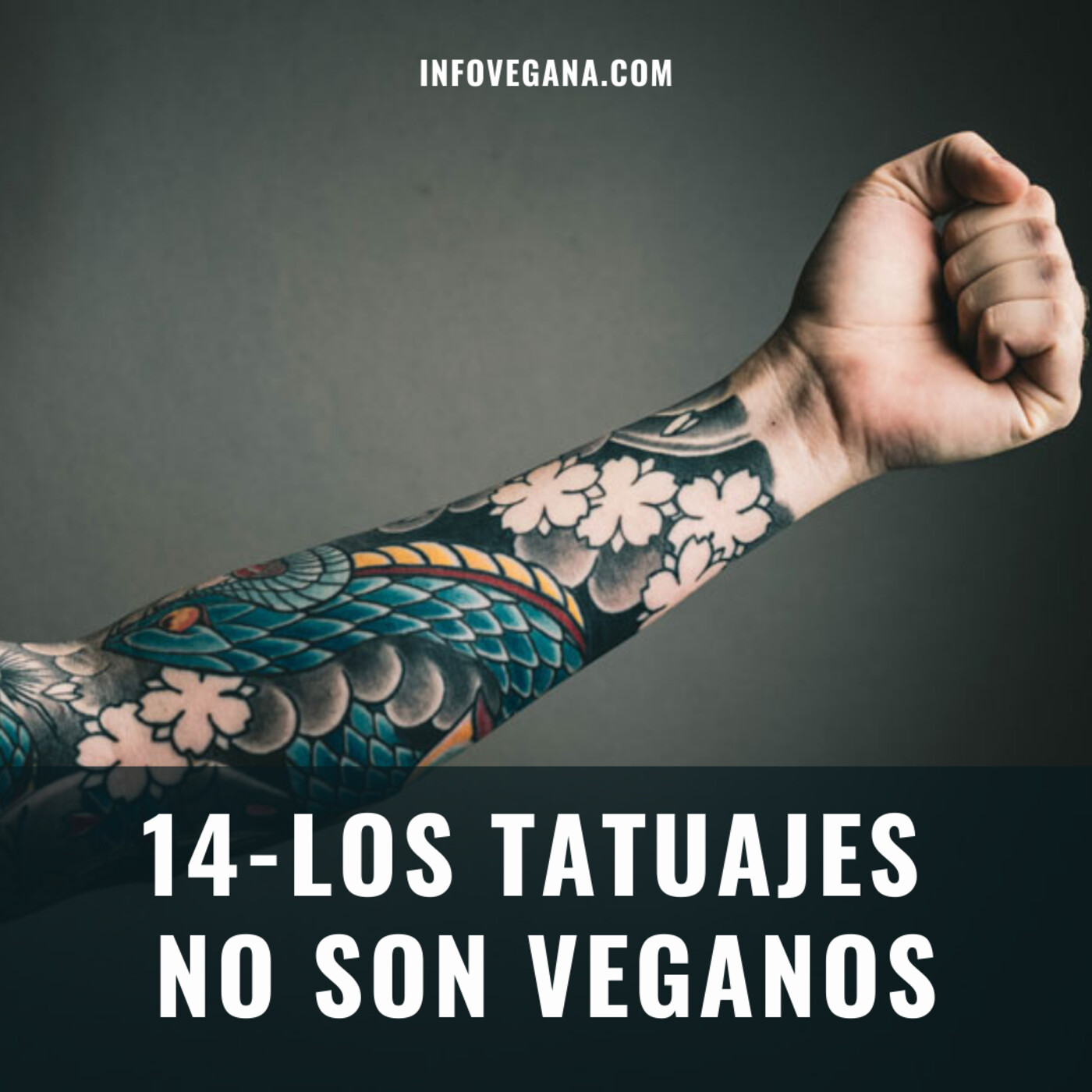 Infovegana, podcast de veganismo y sostenibilidad