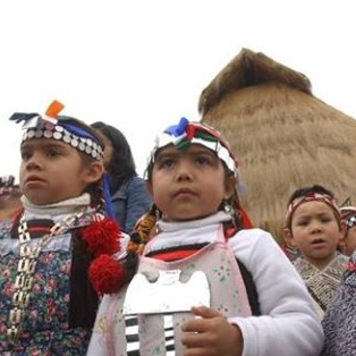 27-07 Editorial El Genocidio del País Mapuche Perpetrado por Chile y Argentina episode artwork