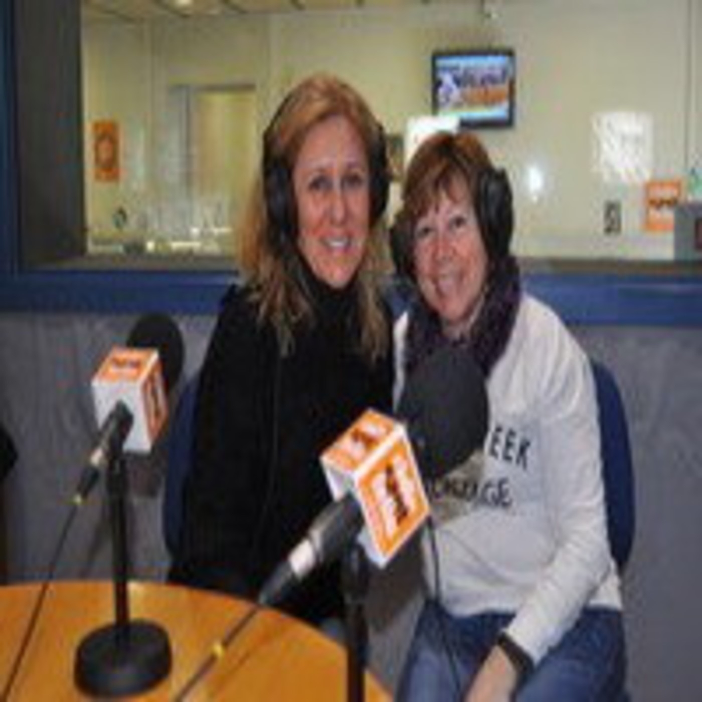 Parelles lingüístiques curs 2014-2015