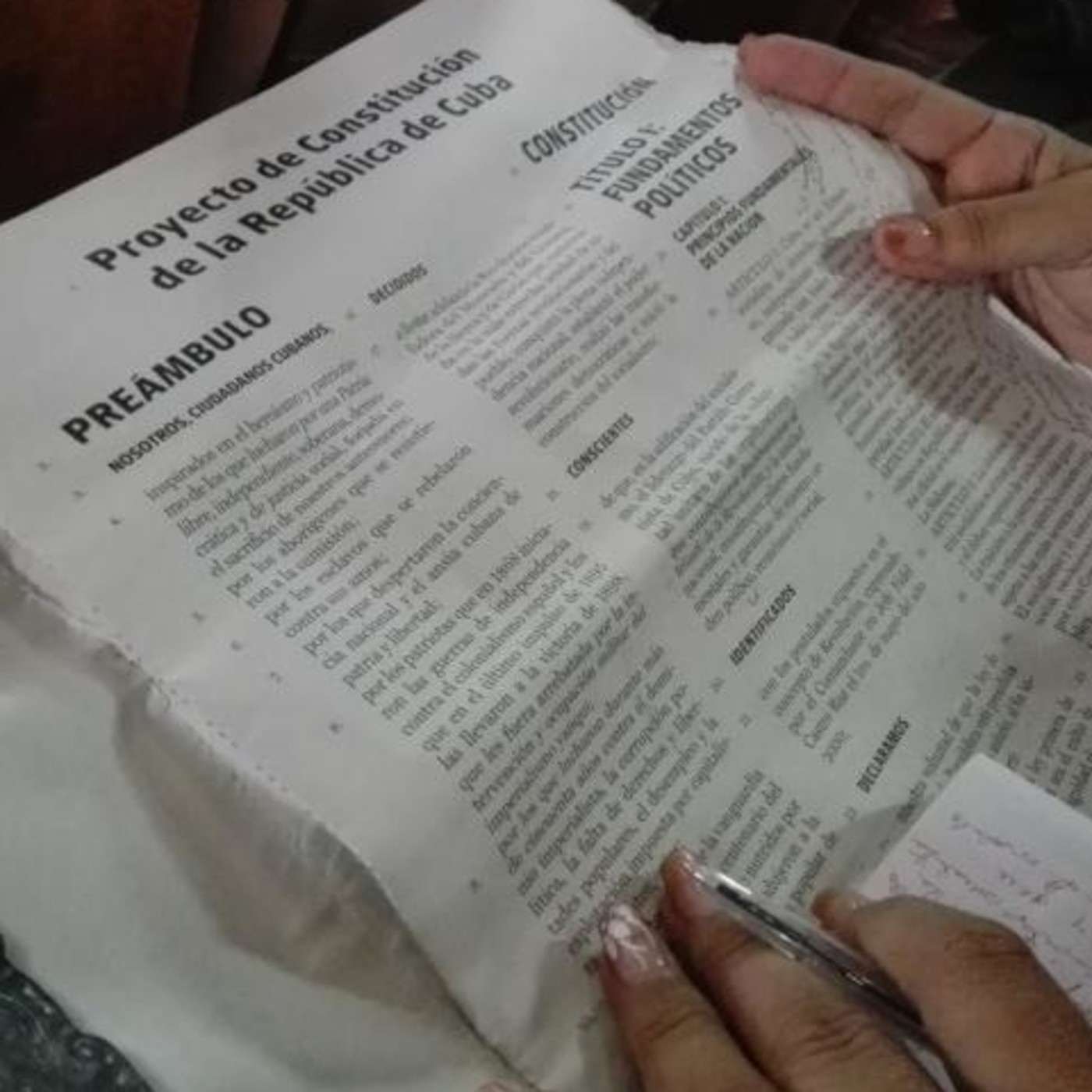 Elsa Paneque a favor de la nueva constitución episode artwork