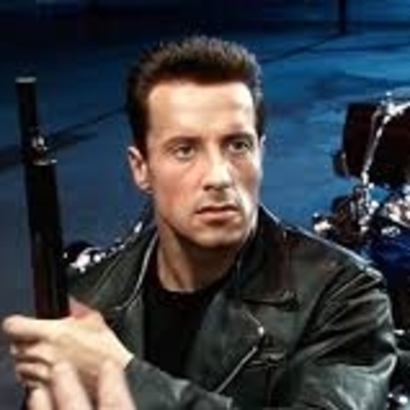 Stallone de mi vida