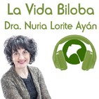 LVB122 Dra. Lorite, Ajo, Kiwi, cambios primavera, El Caso, consultas, tradición San Antonio, ¿encontrar novio?