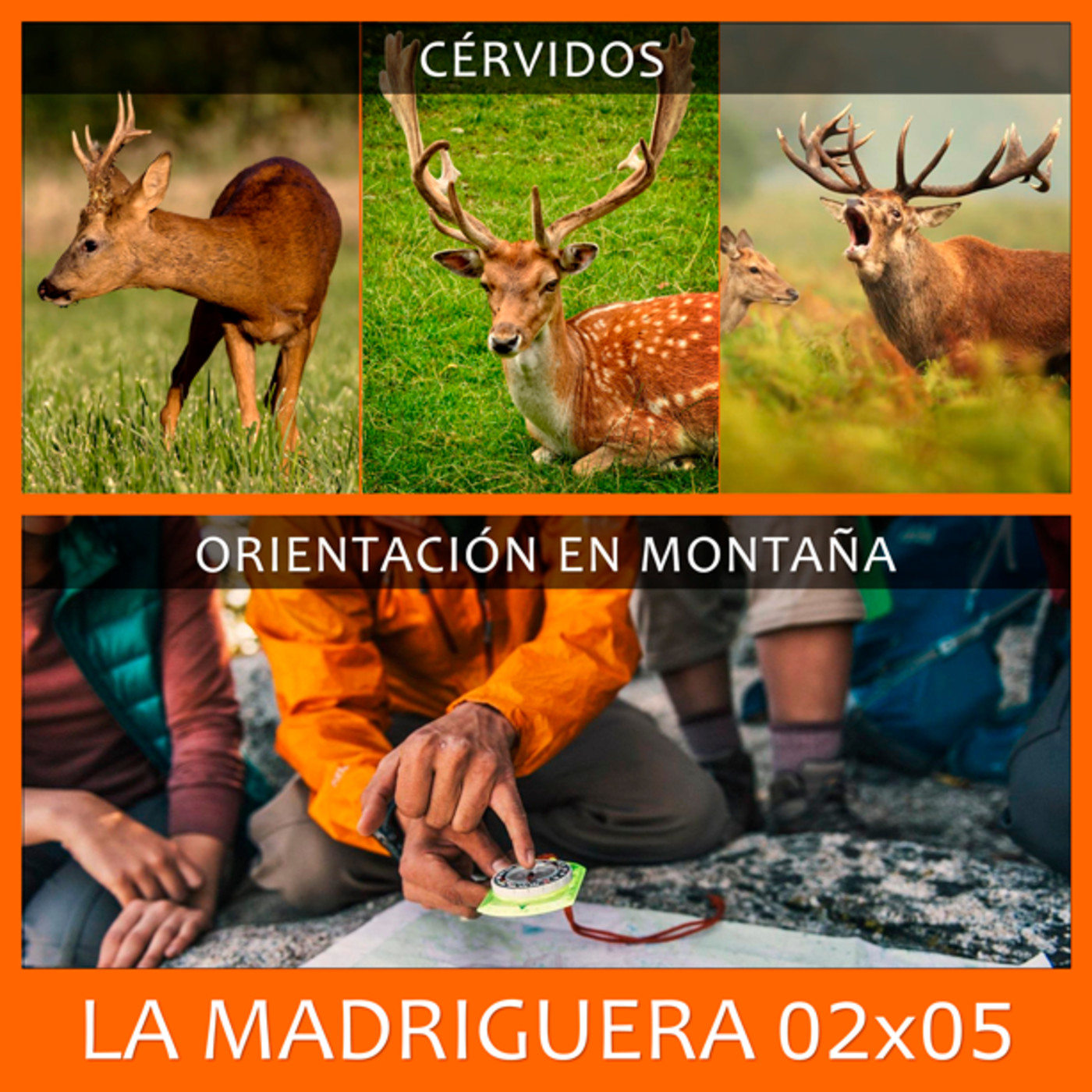LA MADRIGUERA