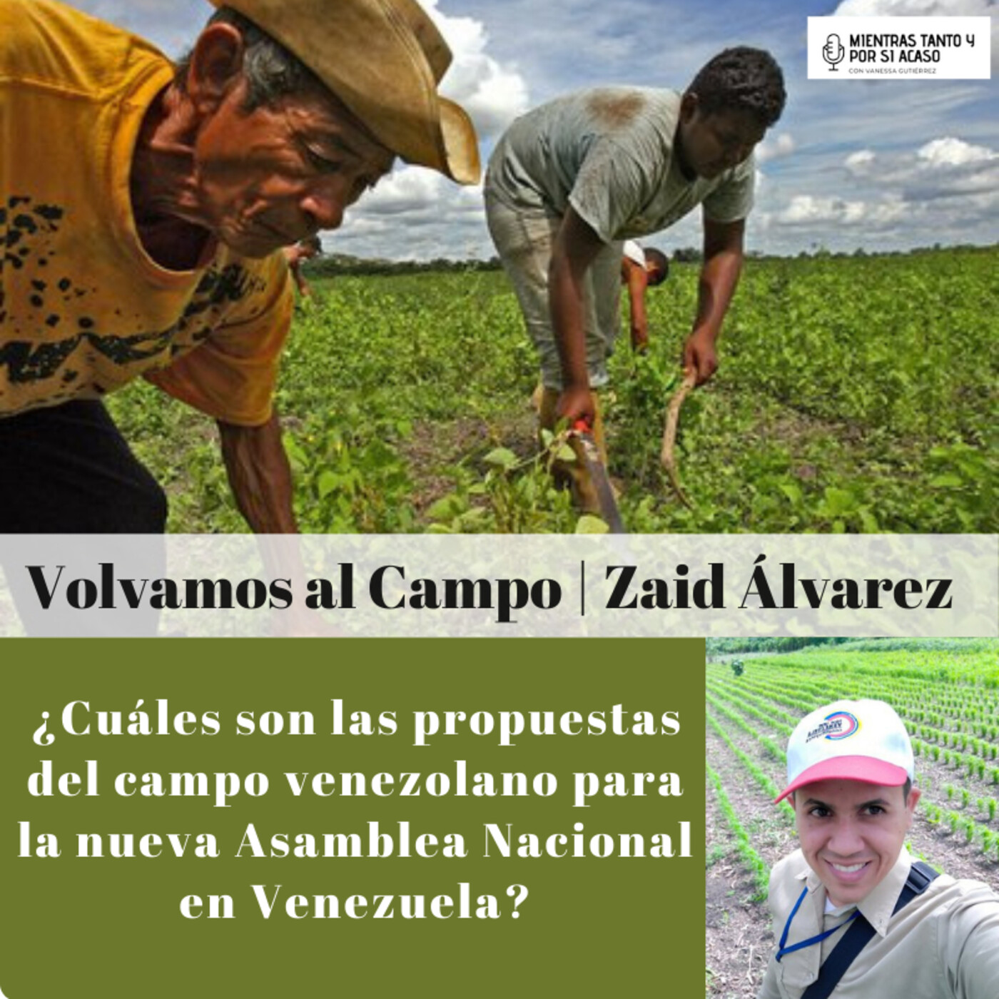 Columna Volvamos al Campo