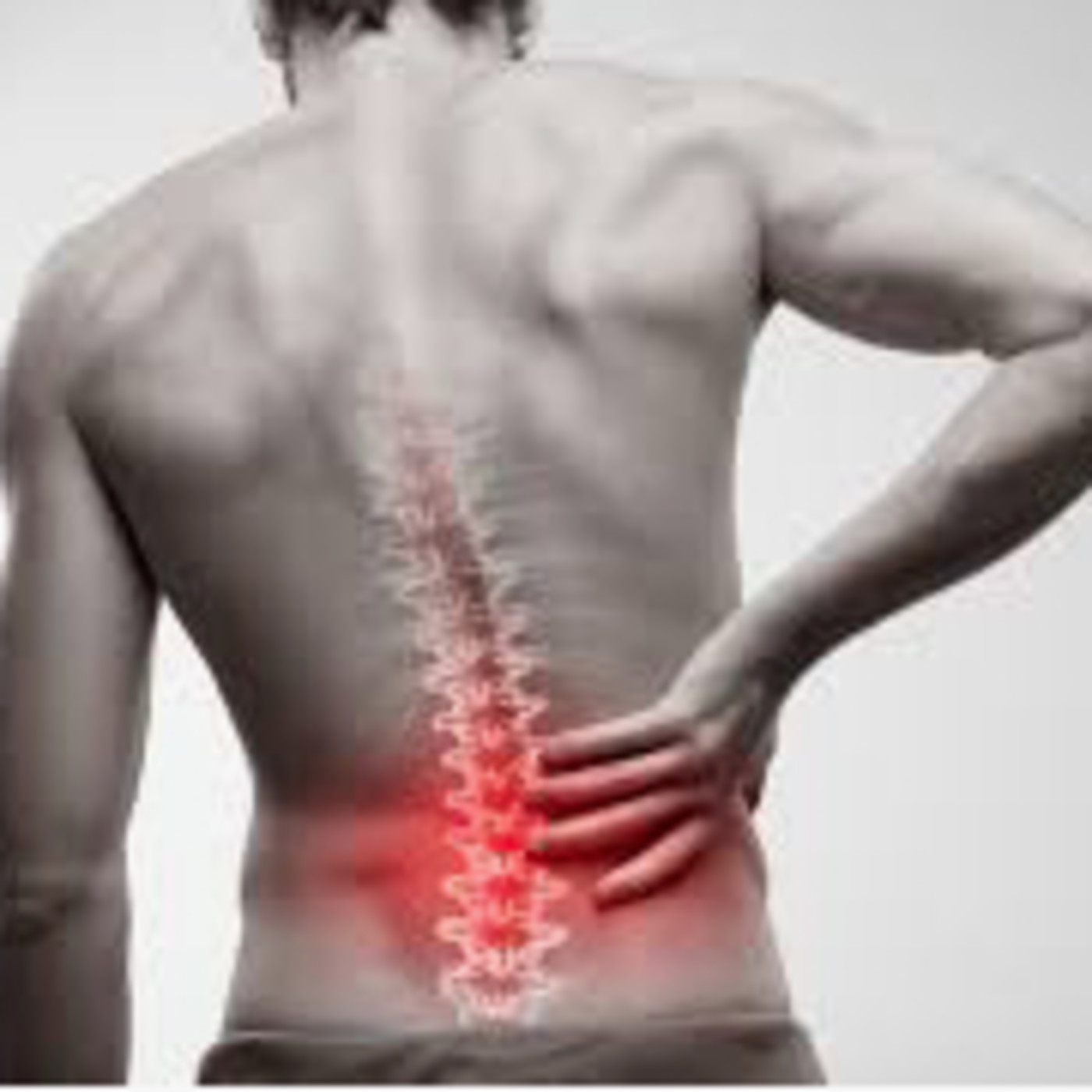 Ser Deportivos Andalucía y Fisioterapia
