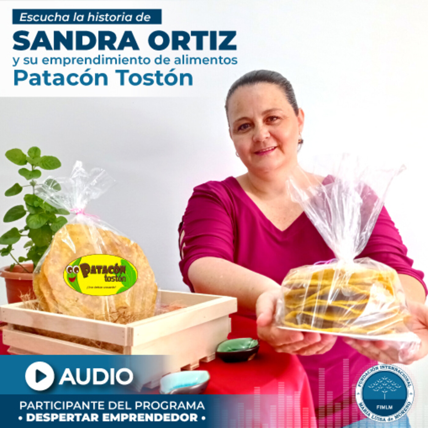 Audios Entrevistas
