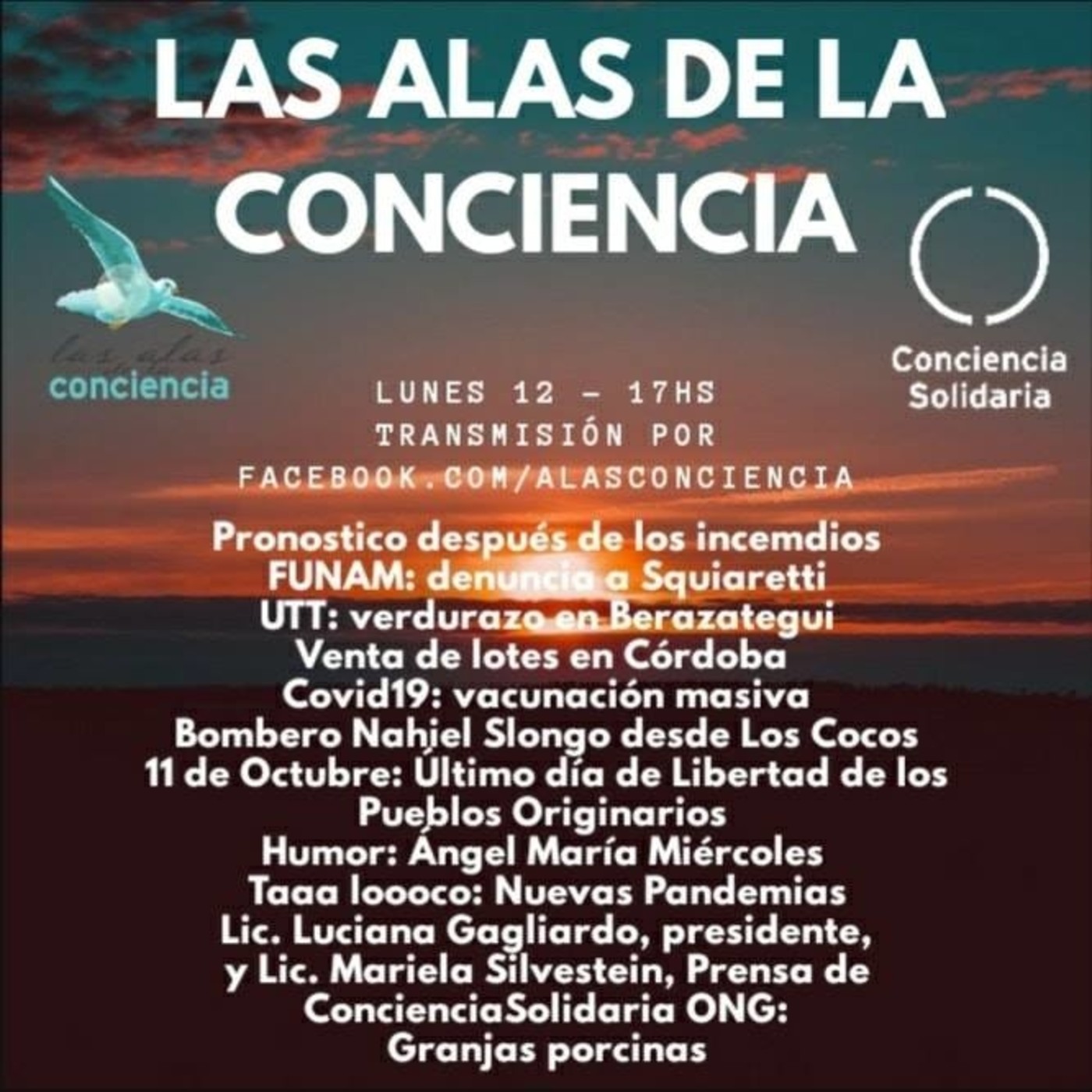 Las Alas de la Conciencia