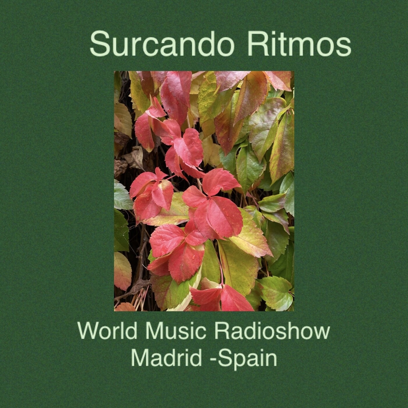 Surcando Ritmos