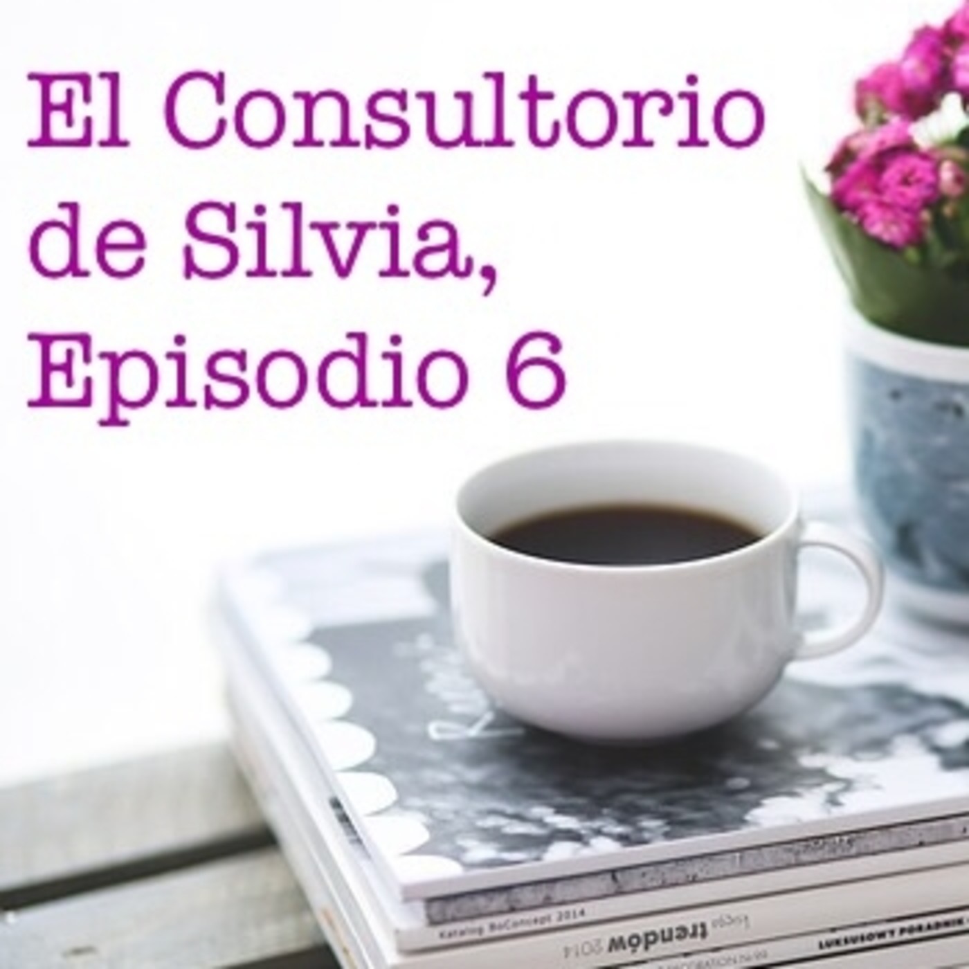 El Consultorio de Silvia