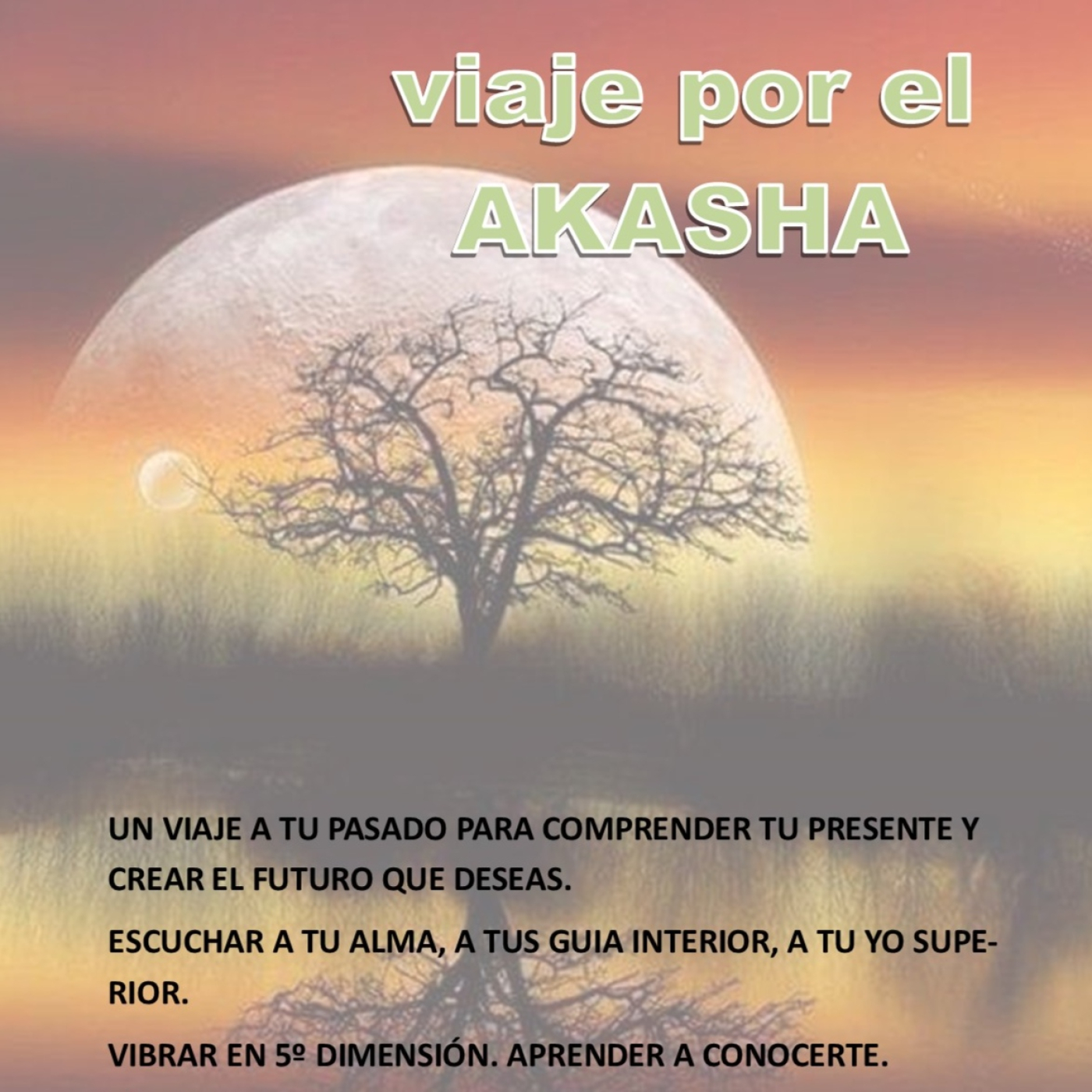 Sistemas de sanación