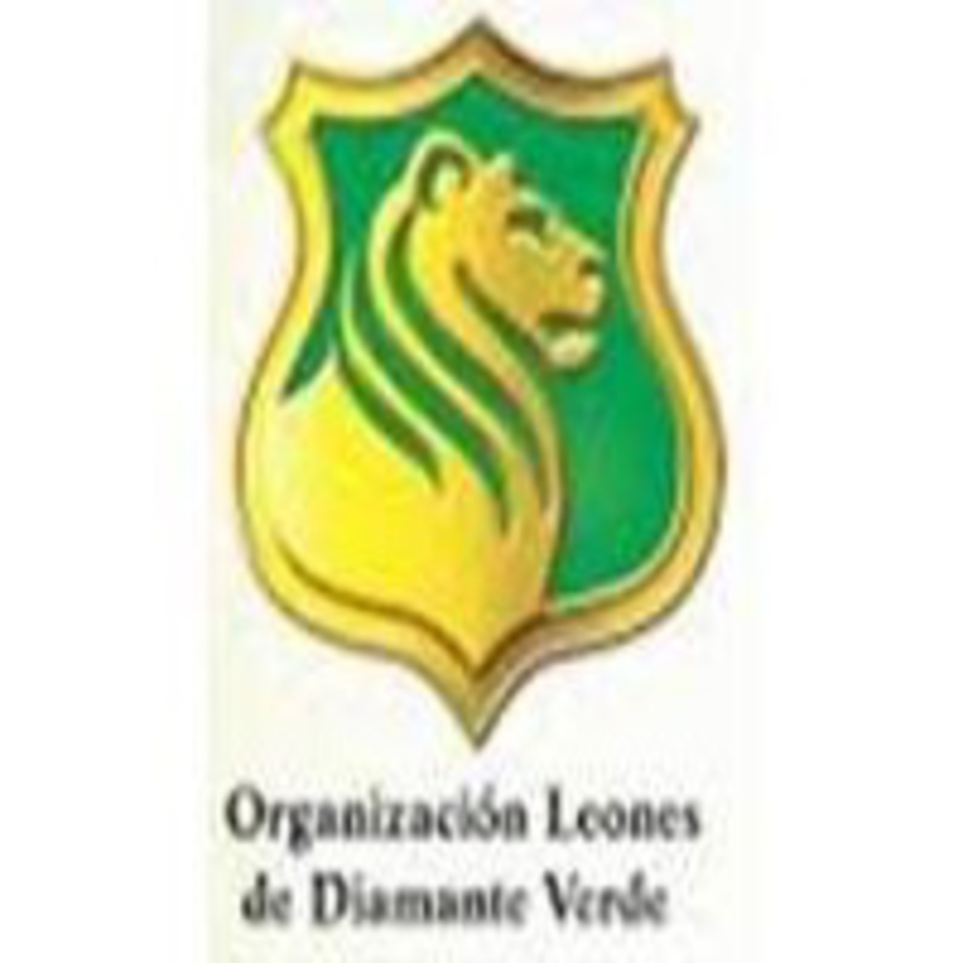 AMVISI Sistema Integral Visiòn Amèrica