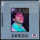 Orquesta Paradiso - 20D20