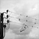 Radio Morir 004: Pájaros Solitarios