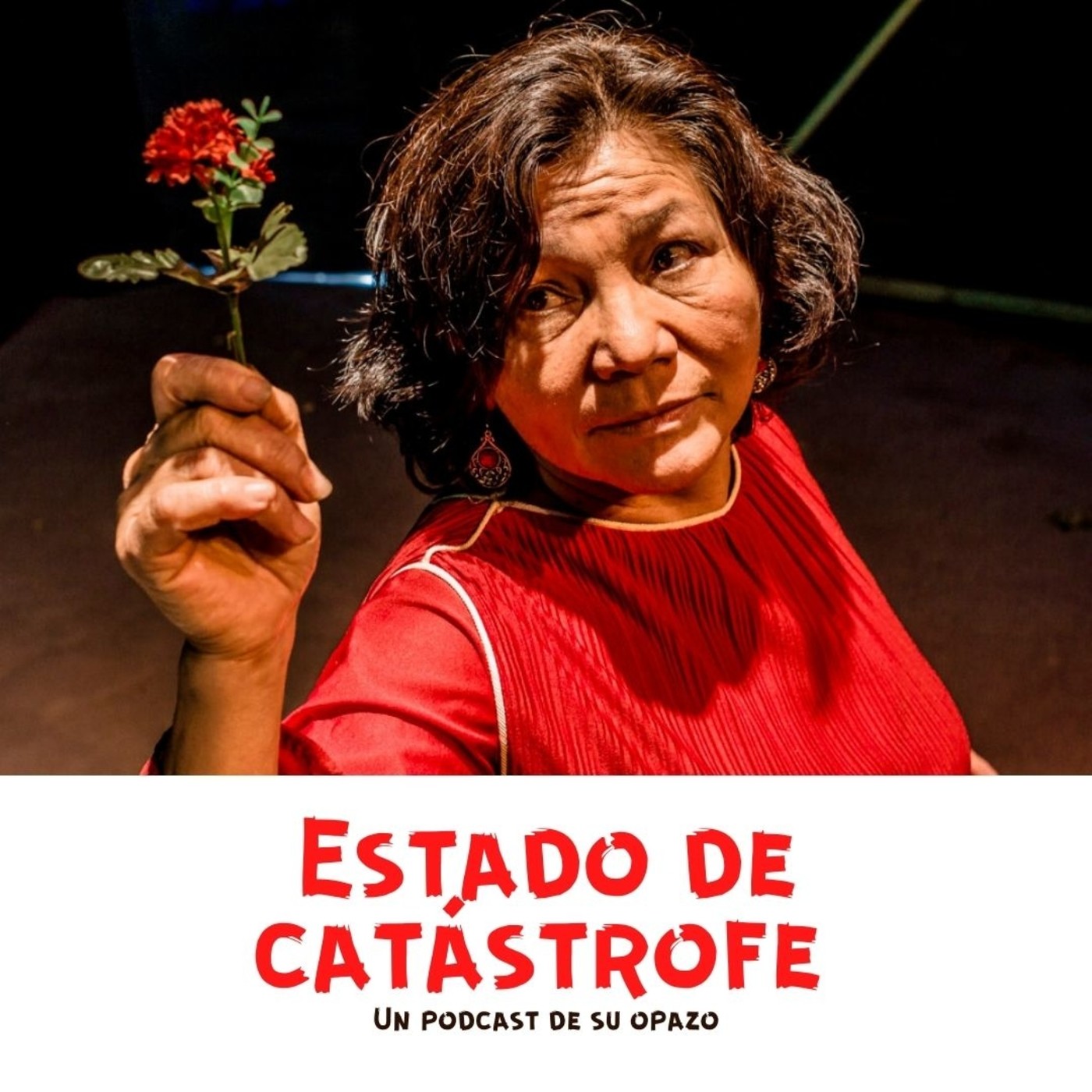 Estado de Catástrofe
