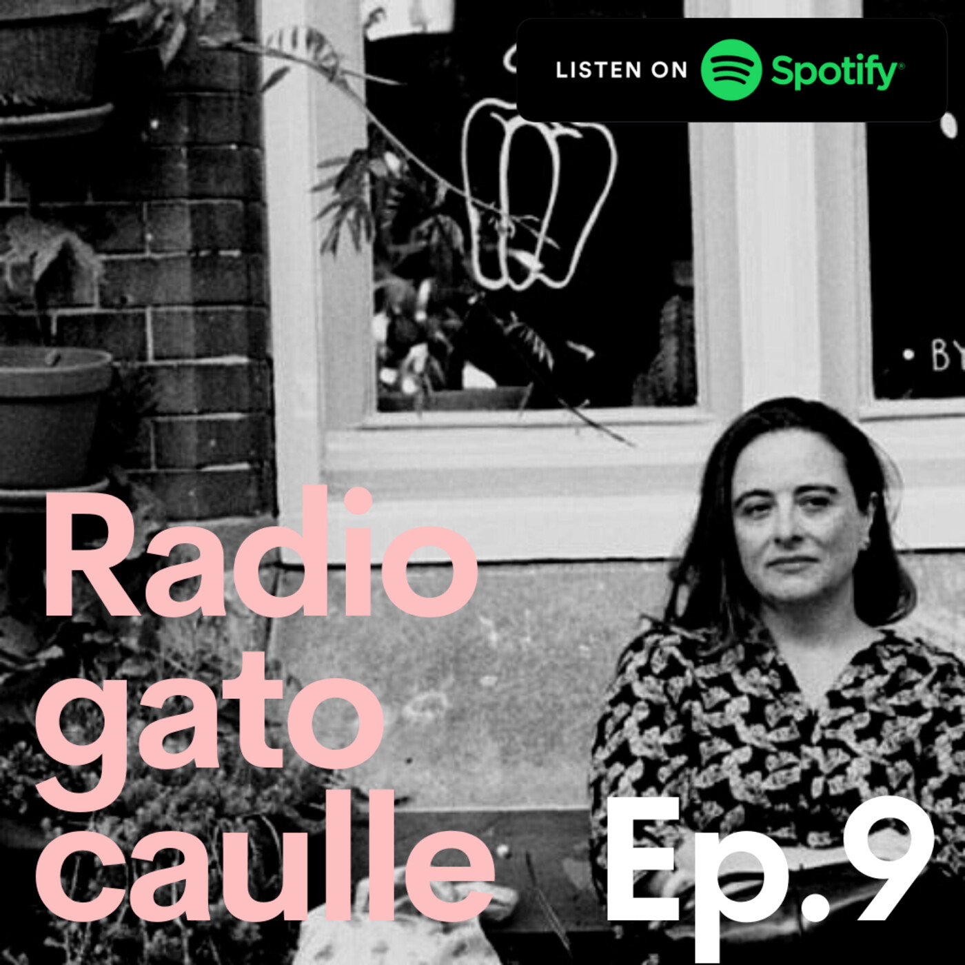 Radio gato Caulle: Temporada 1 y 2