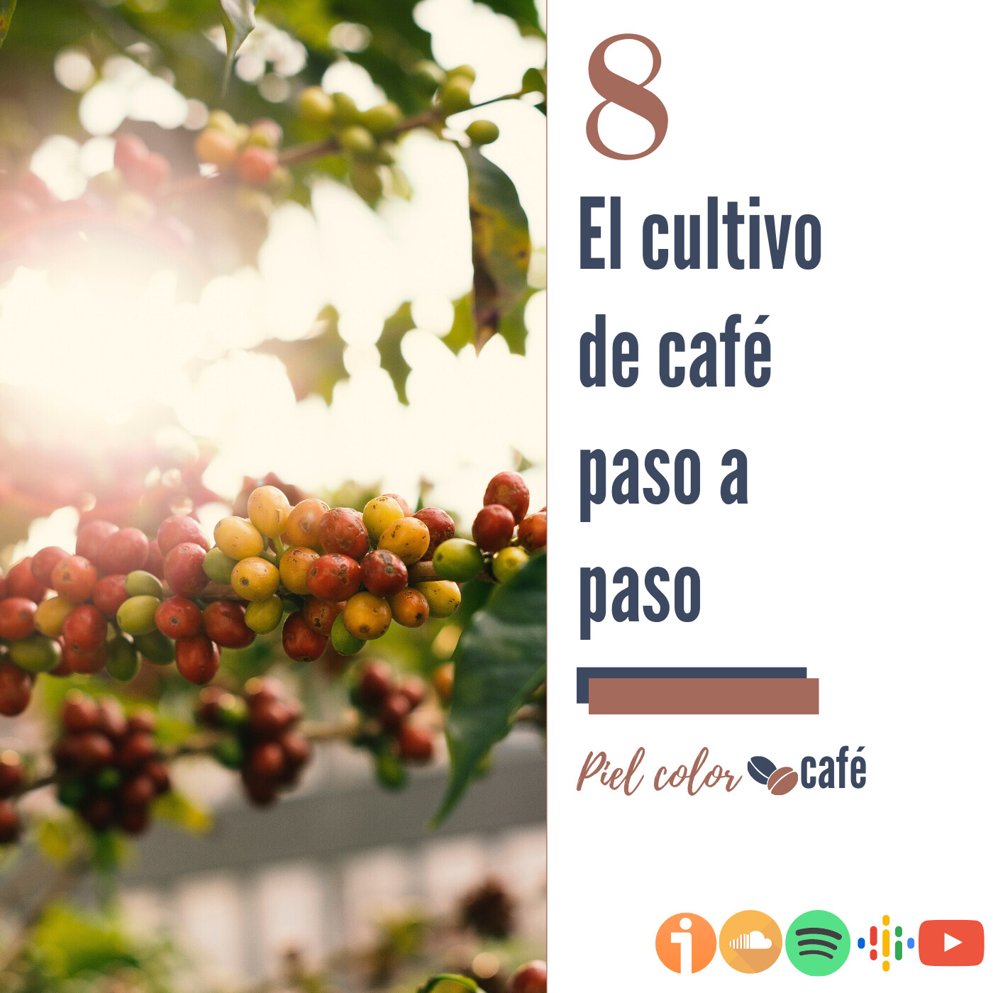 Piel Color Café | Adriana