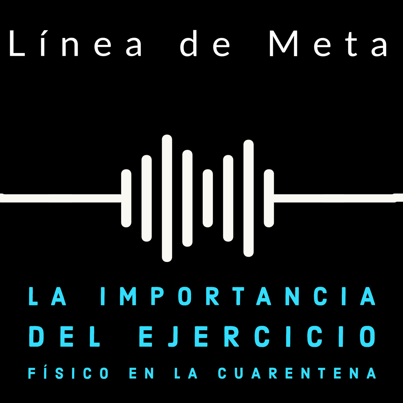 Línea de Meta (Fisioandtherapies)