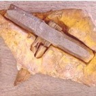 Nuestro Sistema en tela de juicio: ¡Un martillo de 100 millones de años!