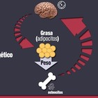 Conoce tu Gravitostato y Engáñalo para Quemar más Grasa
