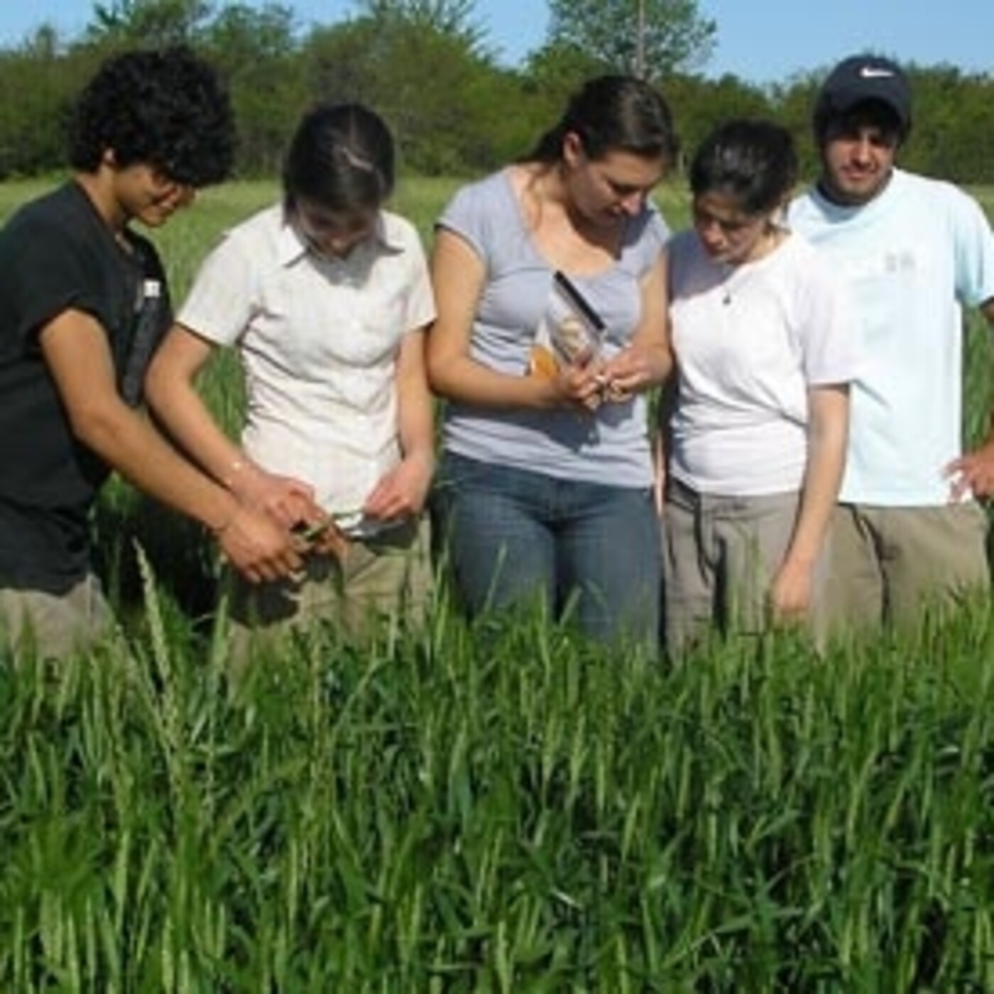 Palabra de Campo
